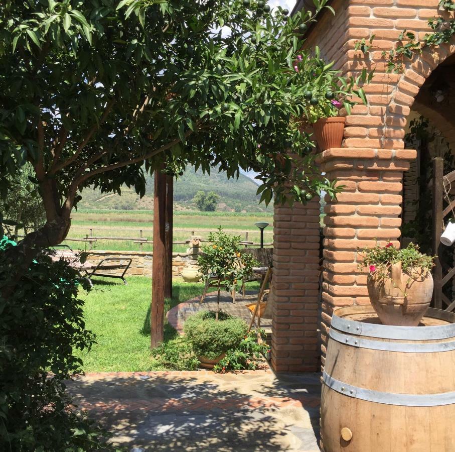 B&B La Nonnina del Cilento Casal Velino Exterior foto